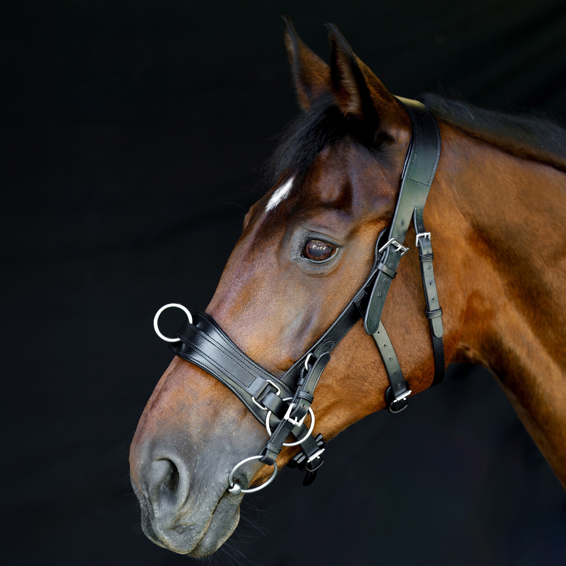 Kappzaum-ProLine-anatomisch-Schwarz-mit-Gebissriemen