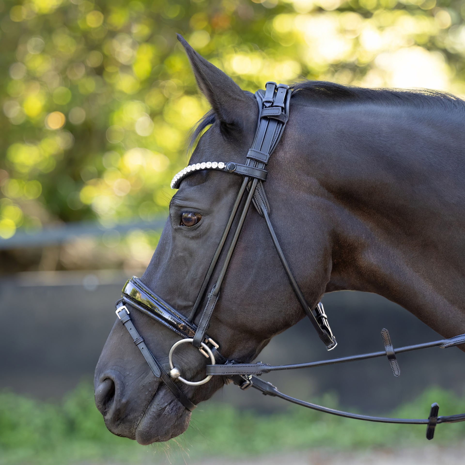 Trense-ProLine-Muenchen-Rund-Zaumhaken-mit-Sperrriemen-Warmblut