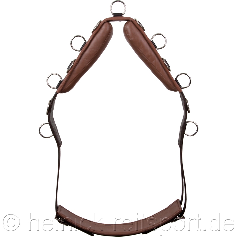 Lederlongiergurt-20-Ringe-Braun-Warmblut-Vollblut