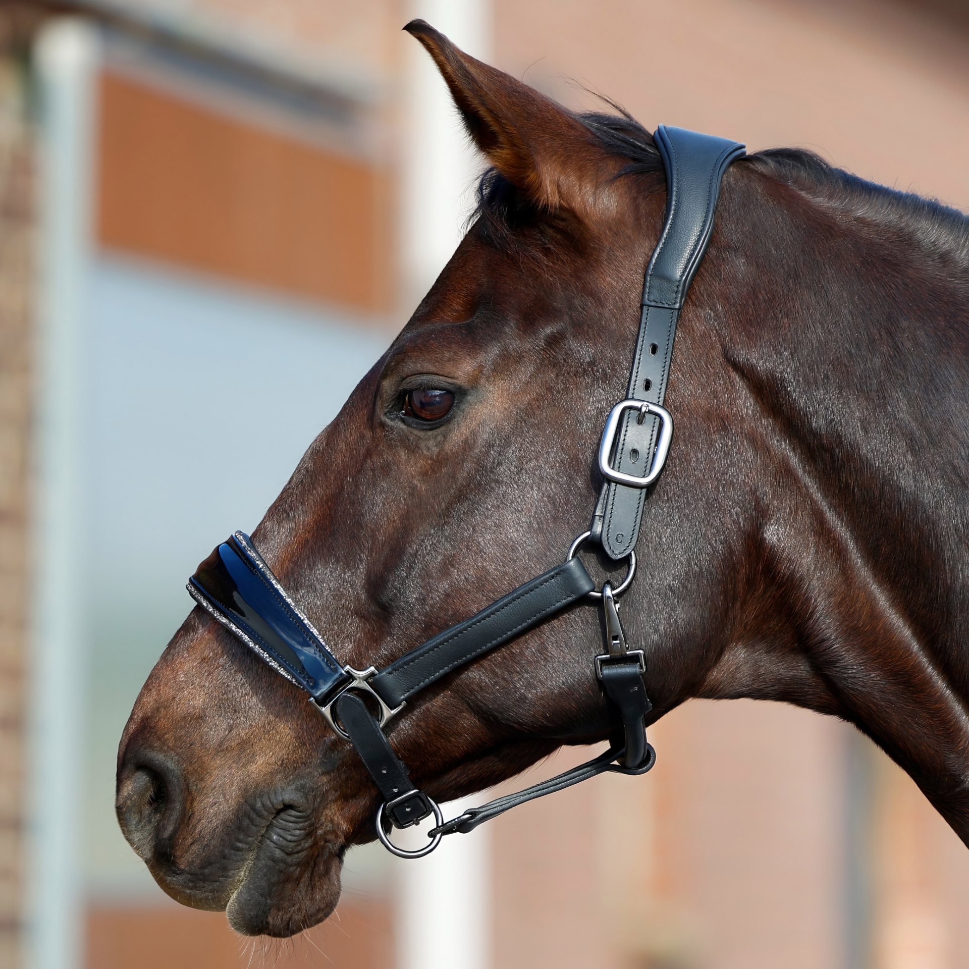 Lederhalfter-Shiny-Glitzer-Weich-Softleder-Schwarz-Grau