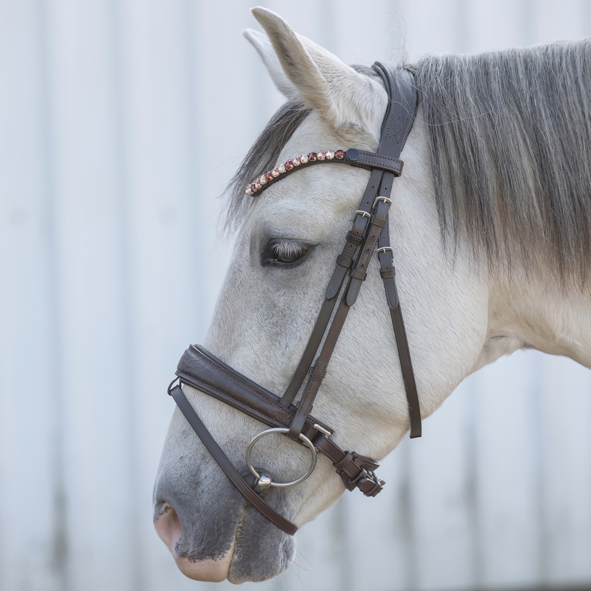 Trense-Paisley-Muster-Braun-entfernbarer-Sperrriemen