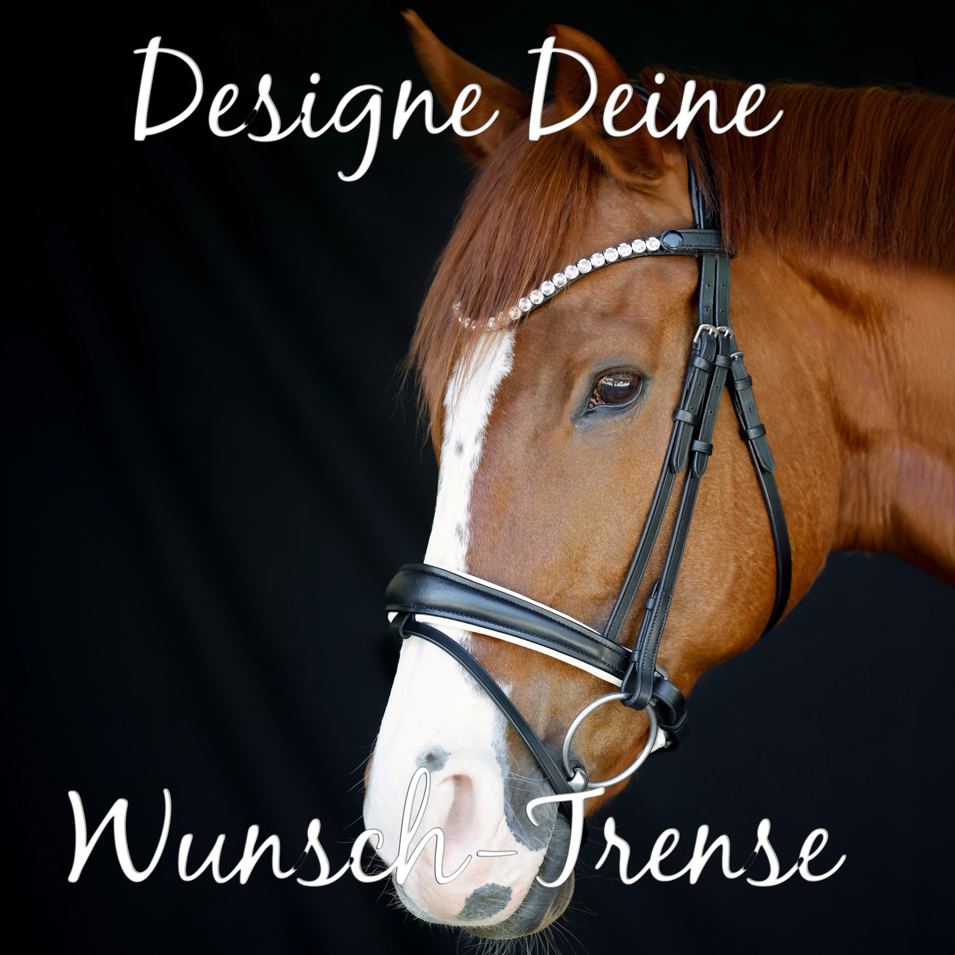 Trense-selbst-desidnen-gestallten-Weiss