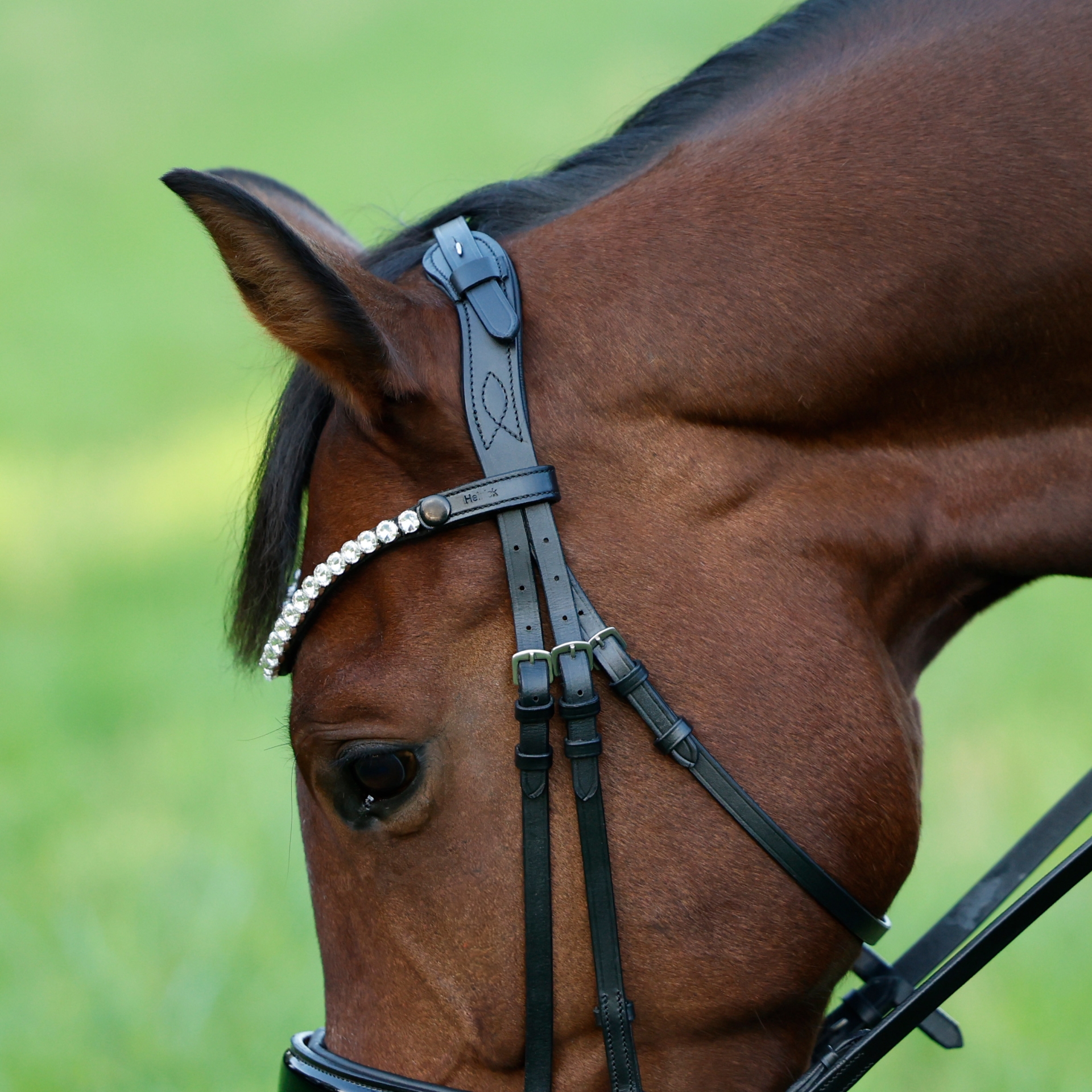 Genickstueck-Liberty