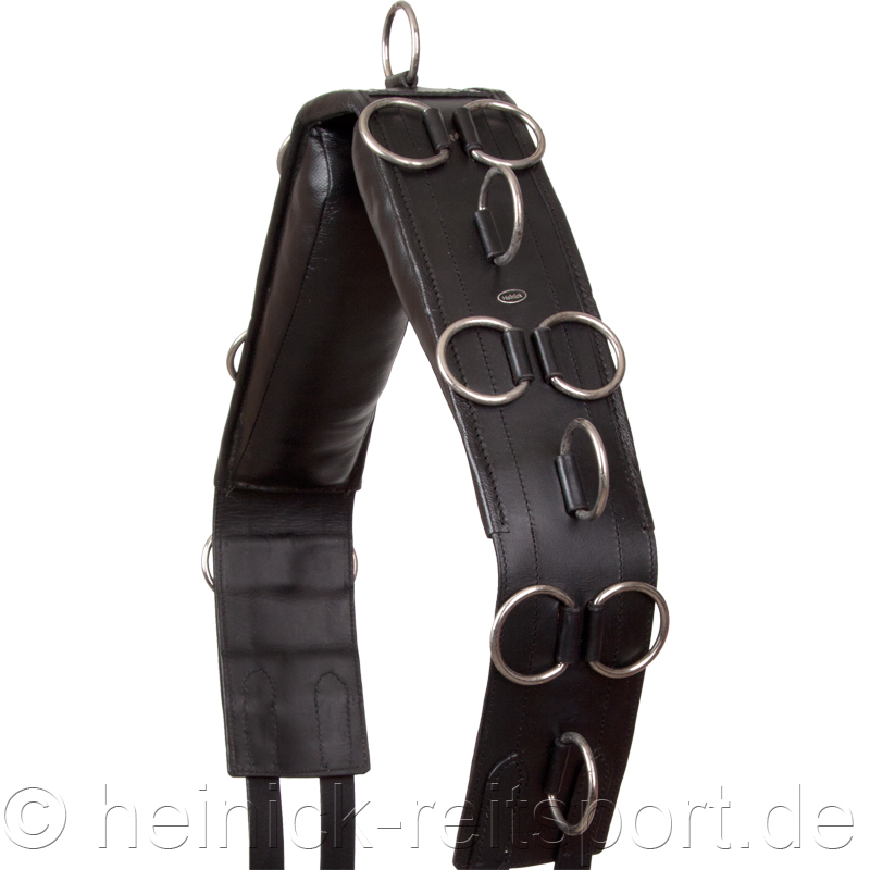 Leder-Longiergurt-20-Ringe-Schwarz-WB-VB
