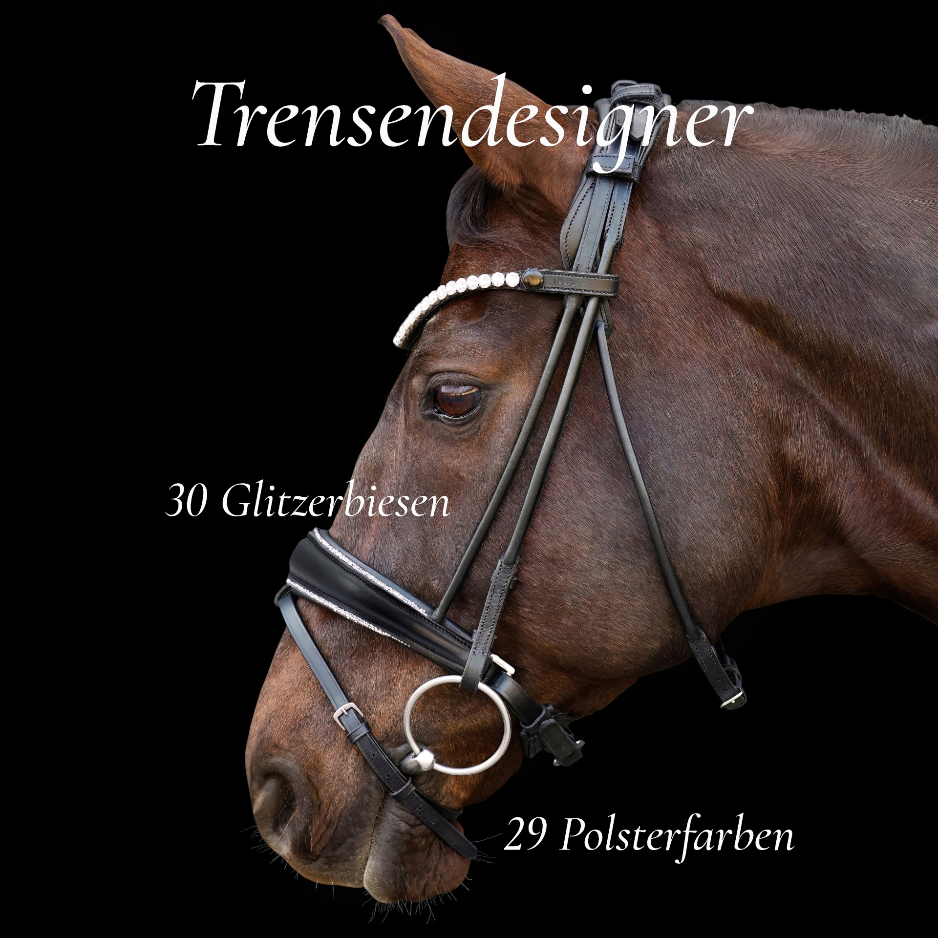 Trense-ProLine-Switch-Rund-wechsel-Polster-Biesen