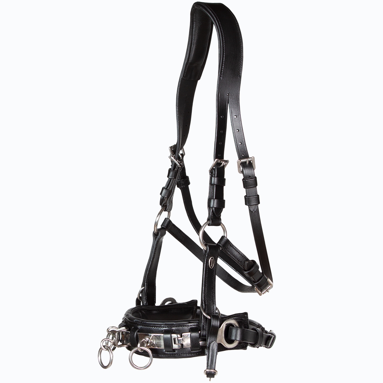Kappzaum-Leder-anatomisch-mit-Naseneisen-Edelstahl-Wiener-WB-VB-Schwarz