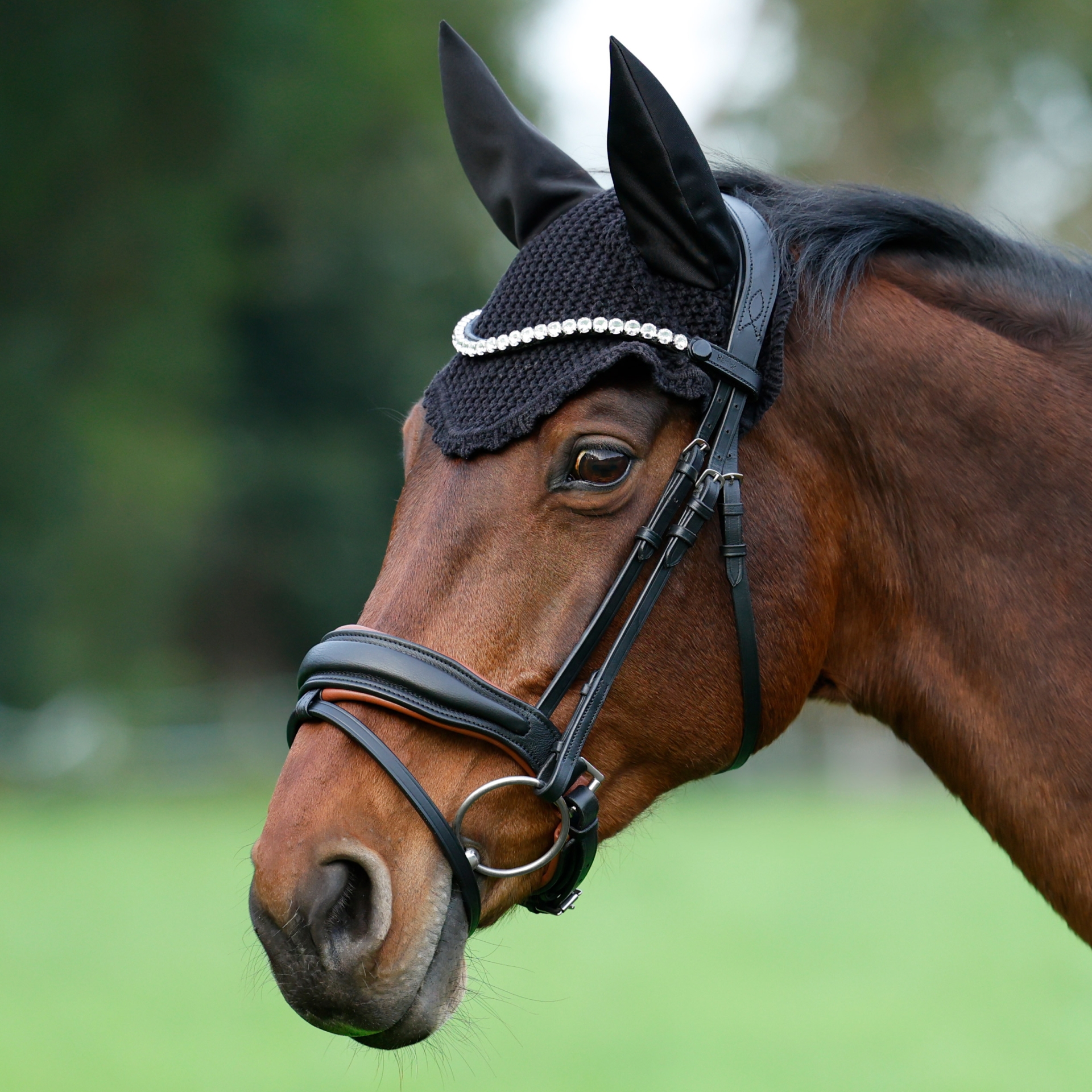 Trense-abnehmbarer-Sperrriemen-Custom-Zaumhaken-havanna